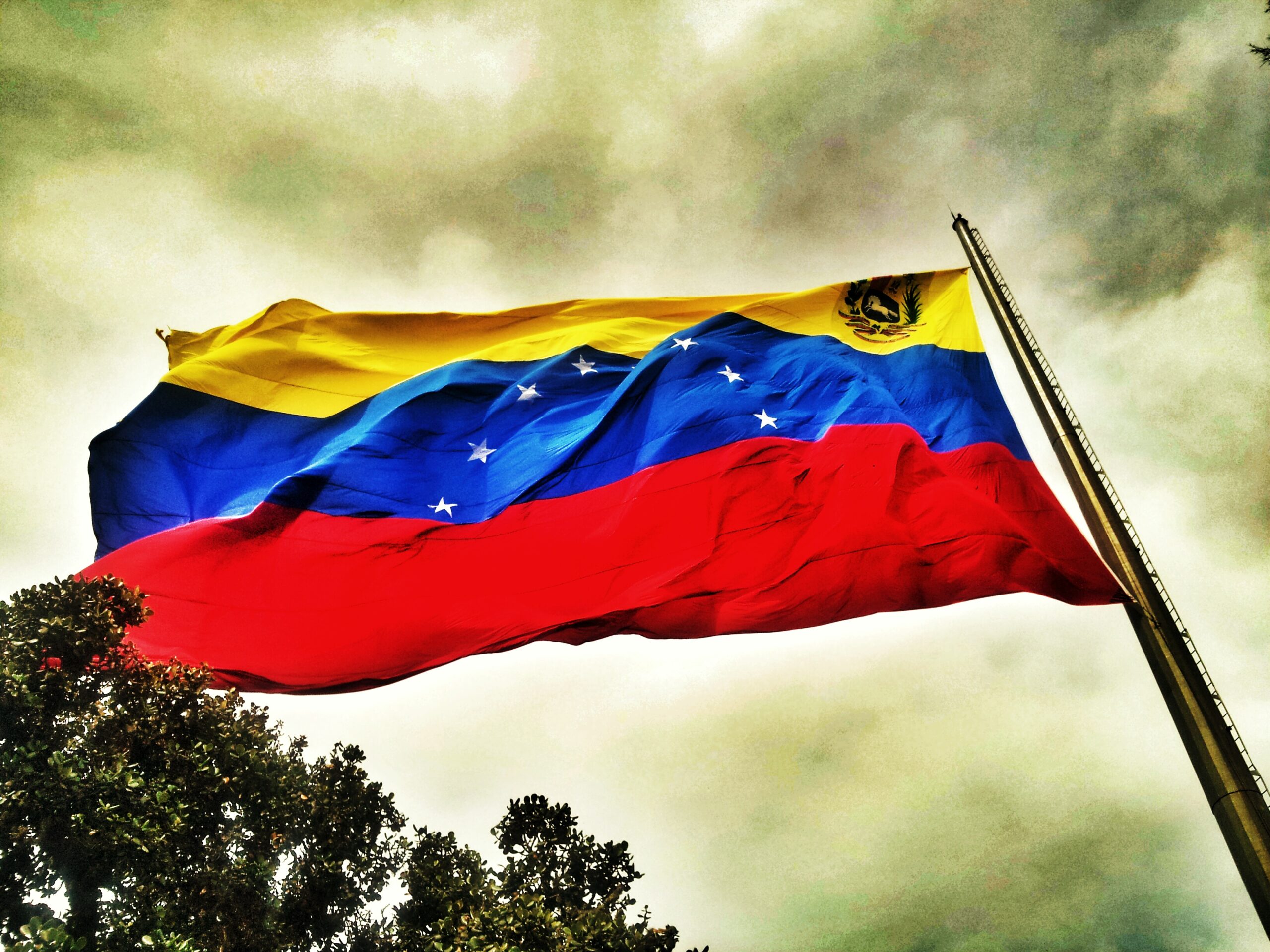 Mejores Cursos de Trading en Venezuela